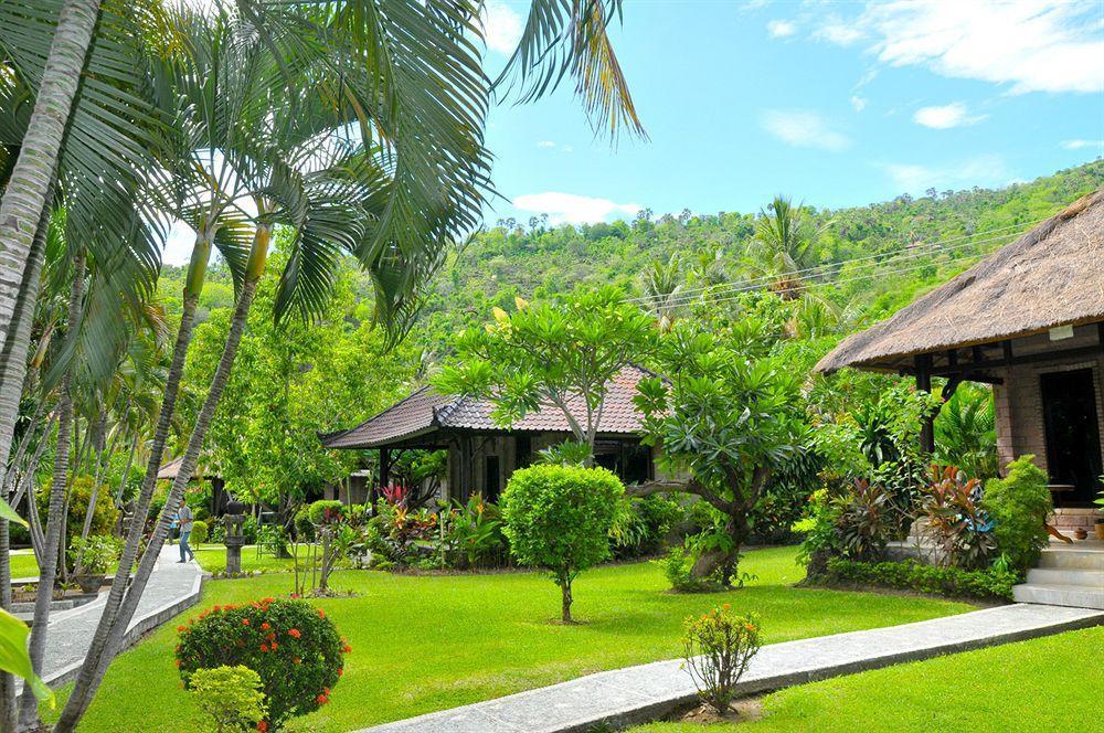 Coral View Villas Амед Екстер'єр фото